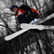 Skiing